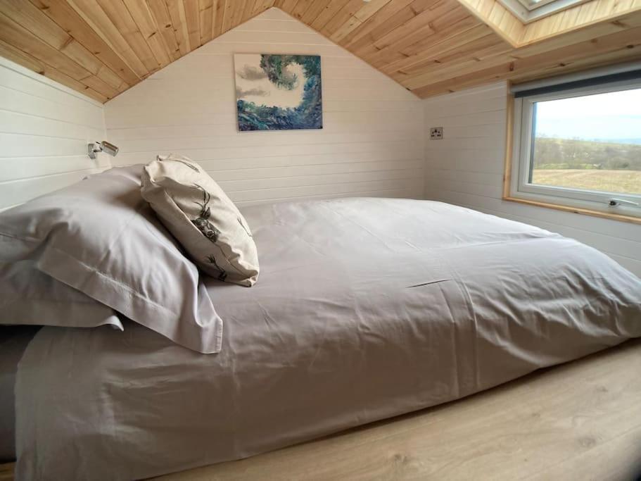 The Ashmere Tiny House Coldingham Екстер'єр фото